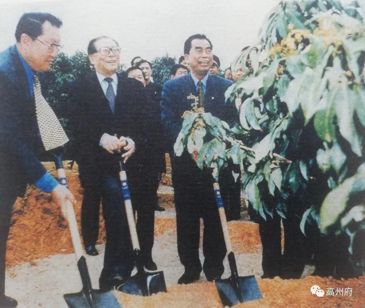 珩祥电保-中国荔枝博物馆智慧用电改造
